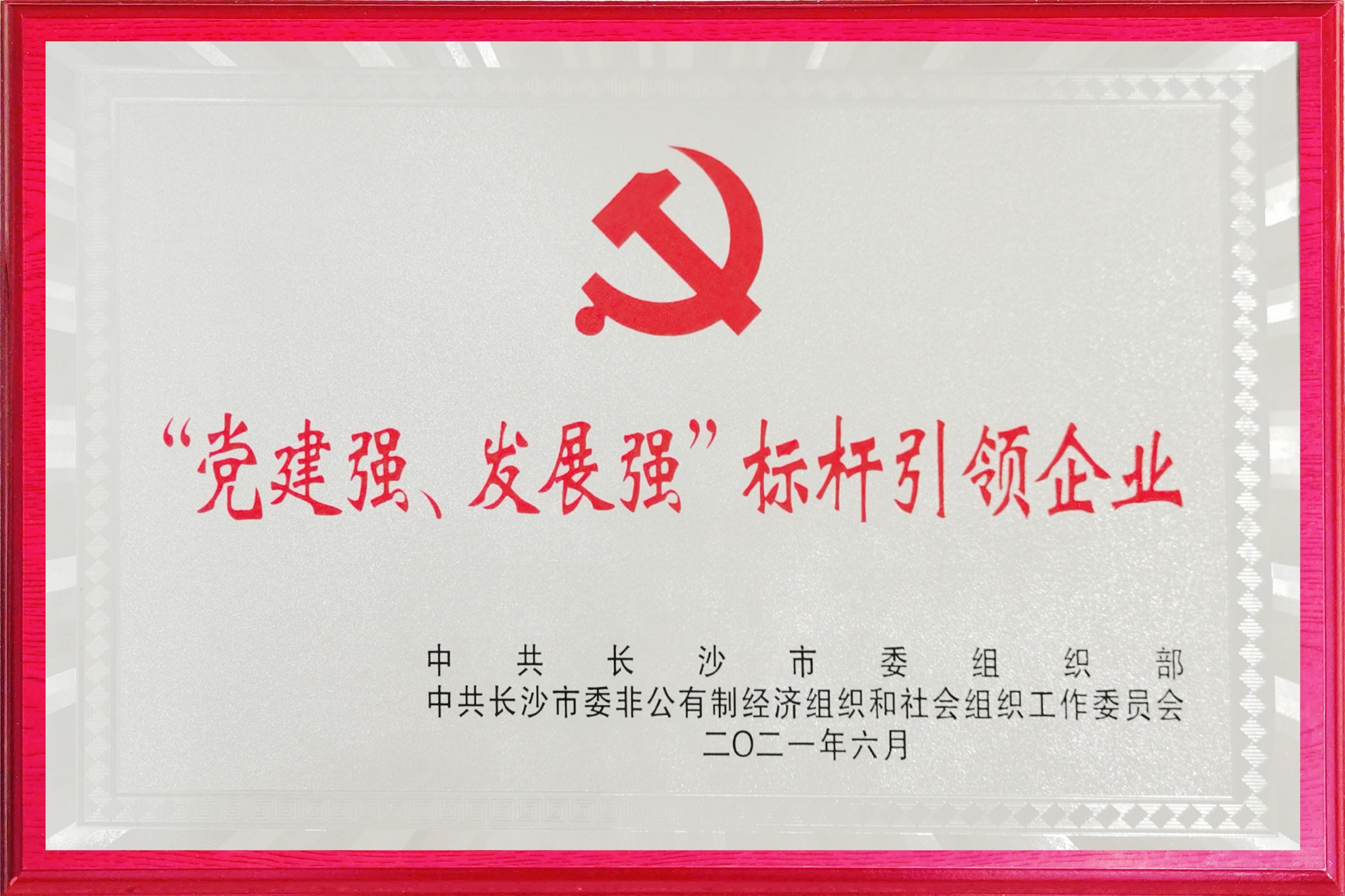 太阳成集团tyc9728荣获长沙市两新领域“党建强、发展强”标杆引领企业